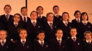 Christmas Advent Calendar 12 Days of Christmas carol by St Paschal Baylon primary school [upl. by Aholah]