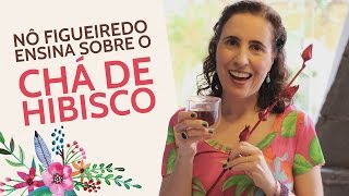 🌺 Nô Figueiredo Ensina sobre o Chá de Hibisco 🌺 [upl. by Ebag]