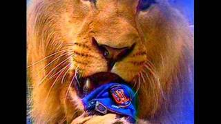 LEONES DEL CARACAS CAMPEONES [upl. by Ebbie860]