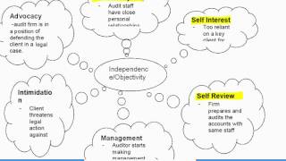 Level 4  External Auditing [upl. by Reinke]