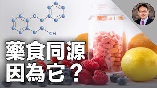 具抗氧化、抗炎、防癌、护心脑等功效，类黄酮究竟是什么 ⚠️ 补充类黄酮这几类人要特别小心 [upl. by Seamus692]