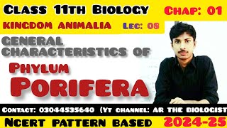 General characterstics of Phylum porifera Kingdom Animalia Invertebrates XI Biology NCERT [upl. by Lrak]