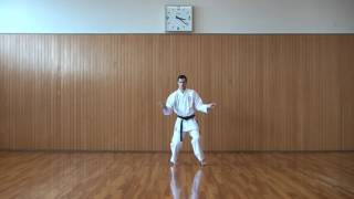 白鶴 hakkaku  糸東流空手道 Shito ryu karate do [upl. by Atibat]