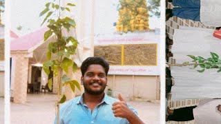 LIFE OF A புங்கை மரம் 🌳Millettia pinnata in a Day quot [upl. by Adolpho305]