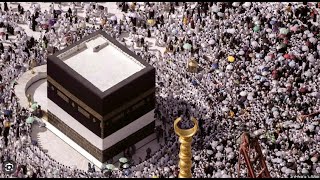 🔴Live  🕋 পবিত্র হজ্ব লাইভ  ২০২৪  Hajj Live  মক্কা থেকে সরাসরি  hajj live today hajjlive [upl. by Aynekal]