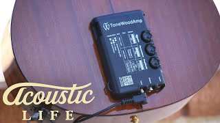 Tonewood Amp Review [upl. by Liamaj]