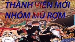 Thành Viên Thứ 10 Của Băng Mũ Rơm  Ai Bị Luffy Để Mắt Đến  ANM tv [upl. by Celeste]