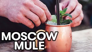 Beginner cocktails Moscow Mule [upl. by Ahsiek]