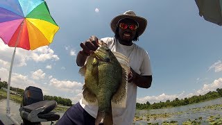 Shellcracker Fishing catching Huge Monster Slabs [upl. by Novello]