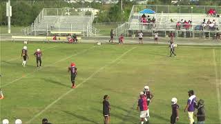 12U WORLD CHAMPIONSHIPS  West Columbia Tigers SC vs Reidsville Tigers NC [upl. by Delcina665]