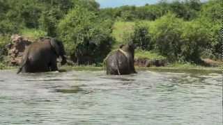 Kazinga Channel Boat Cruise [upl. by O'Grady]