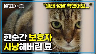 고양이를 부탁해  크랜의 모두 잠든 후에002 [upl. by Heimlich]