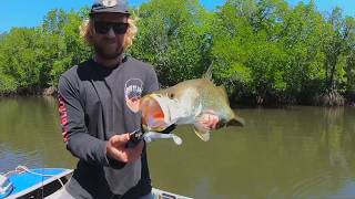 FISHING CAPE YORK [upl. by Zinah382]