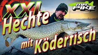 XXL Hechte mit Köderfisch  Hechtangeln vom Ufer  Deadbaiting Spezial [upl. by Mariand]