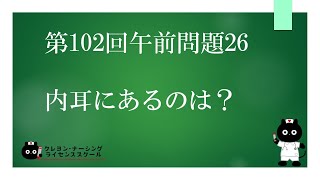 【看護師国家試験対策】第102回 午前問題26 過去問解説講座【クレヨン・ナーシングライセンススクール】 [upl. by Licastro]