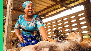 Extreme Bushmeat Nigerias WILD Animal Markets [upl. by Mehsah723]