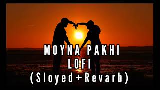 ময়না পাখিMoyna PakhiLofi Sloyed Revarb Akash Mahmud Romantic song trending lofimusic lofi [upl. by Ylil]