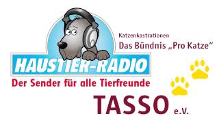 Haustier Radio quotKatzenkastrationen  Das Bündnis Pro Katzequot [upl. by Julide281]