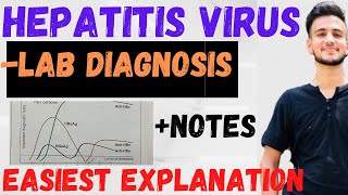 Lab Diagnosis of Hepatitis B virus  Hepatitis B virus microbiology [upl. by Enaenaj709]