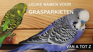 Leuke namen voor grasparkieten  Van A tot Z [upl. by Starkey252]