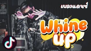 เพลงแดนซ์  Whine Up โอ้เย  จังหวะโดนใจ2021l【 FLUKEFIKZx】 [upl. by Ellenahc967]