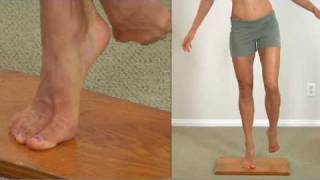 374 Ankle Everters Fibularis Longus Strengthening [upl. by Iruam]