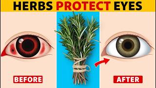 7 Herbs That Protect Eyes and Repair Vision [upl. by Nyrroc]