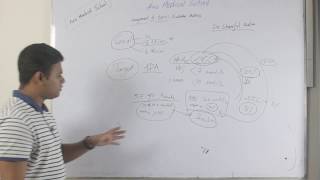 Management of Diabetes Mellitus Part 1 in Bangla [upl. by Florinda]