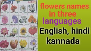 flowers names  ಹೂಗಳು  flowers names in 3 languages [upl. by Reamy70]