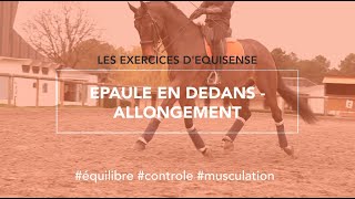 Epaule en dedans  Allongement 🐴 [upl. by Keating]