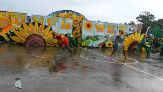 THE SUNFLOWER FESTIVAL OF LIGAO CITY IN GAYON BICOL 2K15 [upl. by Nueormahc]