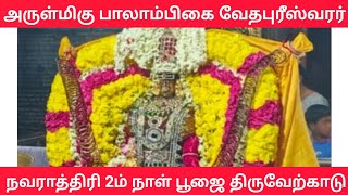 அருள்மிகு பாலாம்பிகை உடனுறை வேதபுரீஸ்வரர் ஆலயம் திருவேற்காடு  நவராத்திரி 2ம் நாள்  Cinee Race [upl. by Tahpos]