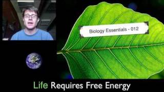 Life Requires Free Energy [upl. by Fernando]