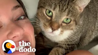 Karen The Feral Cat Demands Snuggles From Her Mom  The Dodo Cat Crazy [upl. by Yttak]