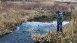 Jumping Trout Crab Creek Washington [upl. by Avle]