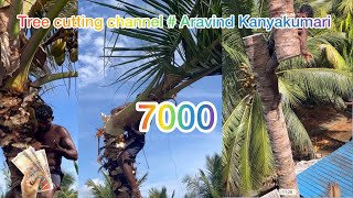 Tree cutting channel  trending channel Aravind kanyakumari 8248851253 [upl. by Nnaitak]