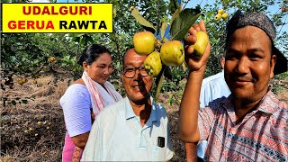 Assam ninw First Apple Bagan Rowta Gerua Udalguri [upl. by Dett]