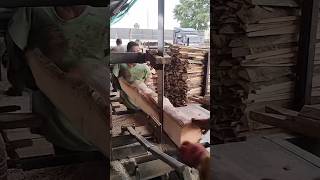 The Future of Wood Cutting is Here Ara Machine usaushortvideo sage e [upl. by Liatrice]