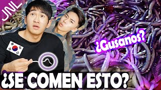 COREANOS PRUEBAN GULAS POR PRIMERA VEZ ★ JUNALE ★ [upl. by Krueger782]