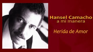 Herida de Amor  Hansel Camacho  Salsa [upl. by Eltotsira810]