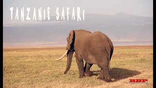 Tanzanie Safari 4K  Drone [upl. by Wennerholn]