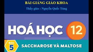 Bài 5 hóa học 12 Saccharose và Maltose Chào Thầy Tùng [upl. by Joktan]