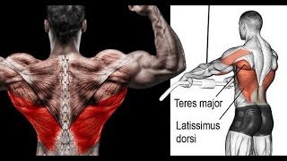 5 TOP EXS BACK WIDTH SPÉCIALE LARGEUR DOS [upl. by Inanuah]