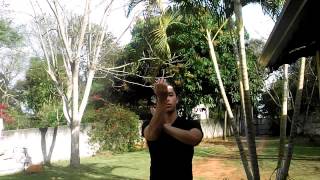 Vitor V  Zyzz Dance Tutorial BRAZIL [upl. by Aneras]