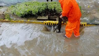 Urban Flooding Unclogging Drains and Restoring Order to the Streets [upl. by Merri]