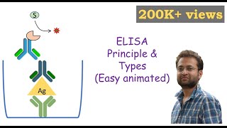 ELISA Enzymelinked Immunosorbent Assay [upl. by Ikkim9]