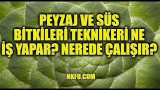 Peyzaj ve Süs Bitkileri Mezunu Ne İş Yapar Nerede Çalışır [upl. by Olympias72]