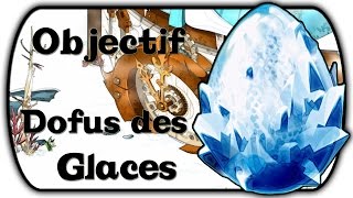 Objectif Dofus des Glaces  Malédiction 1 [upl. by Morocco]