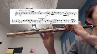 91324 practice log Mendelssohn Italian Symphony second mvt second flute excerpt [upl. by Annadiana]