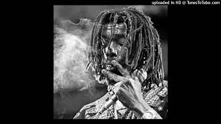 Peter Tosh  Apartheid [upl. by Analli]